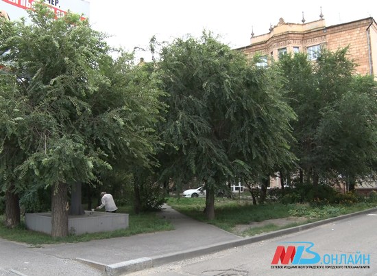 Проект парка в Советском районе вынесен на общественное обсуждение